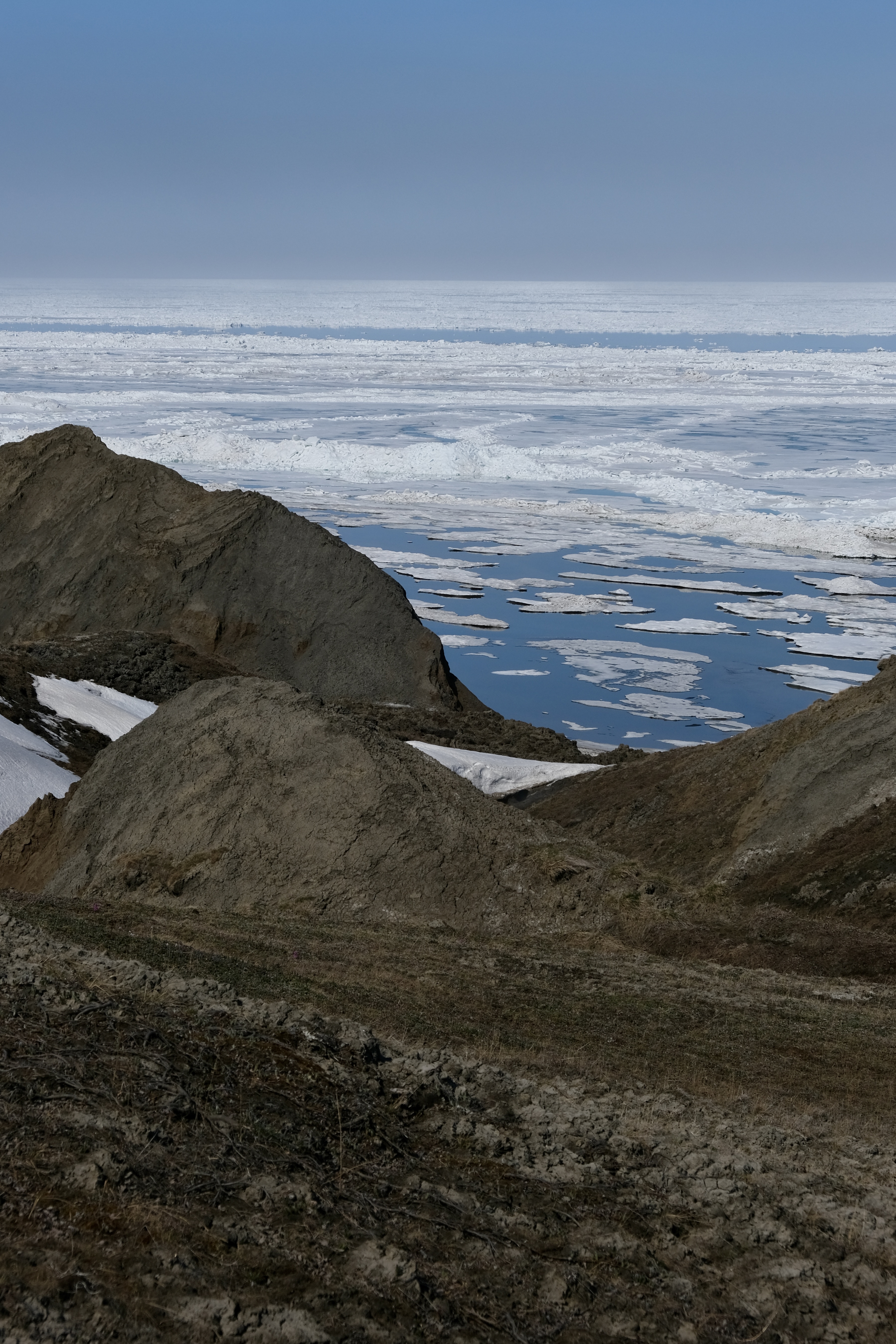 Tundra and coastline, Qikiqtaruk